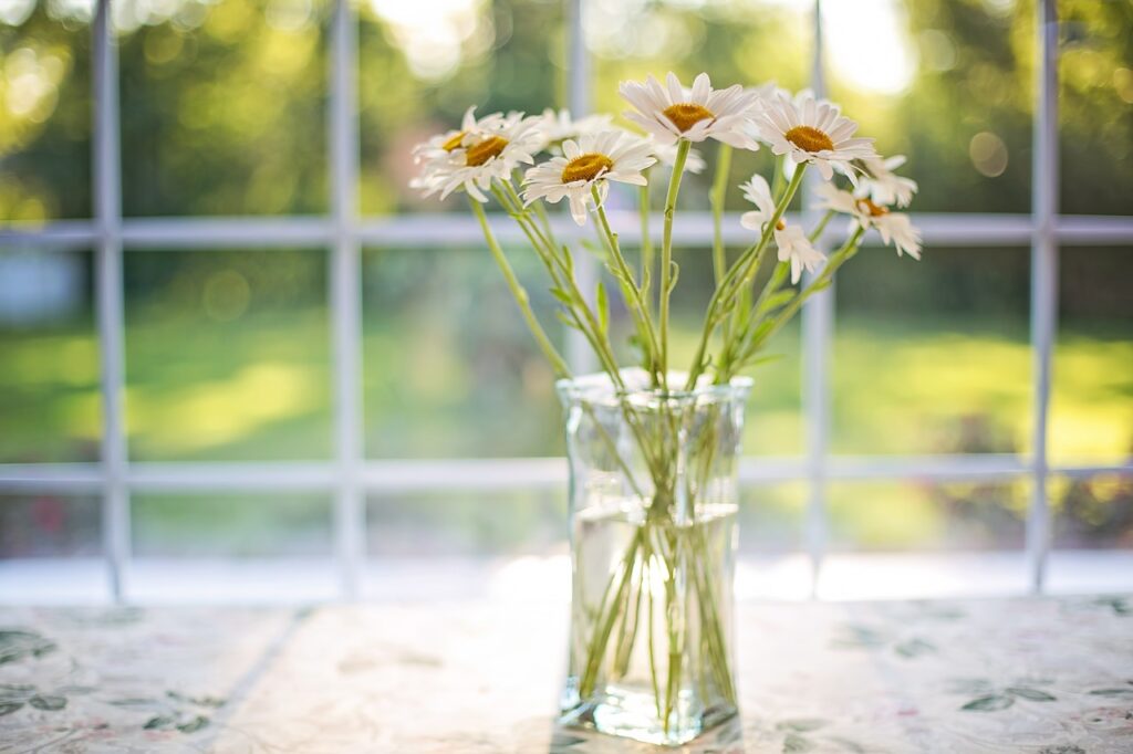 daisies, vase, window-2485064.jpg